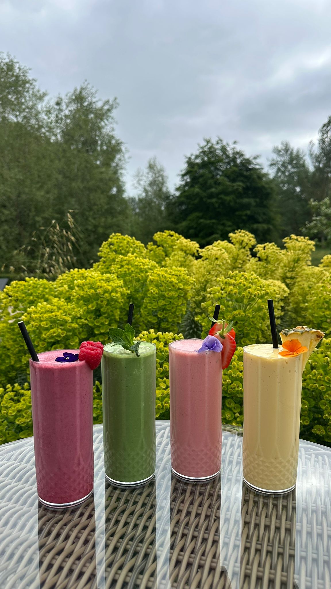 Smoothie (1)