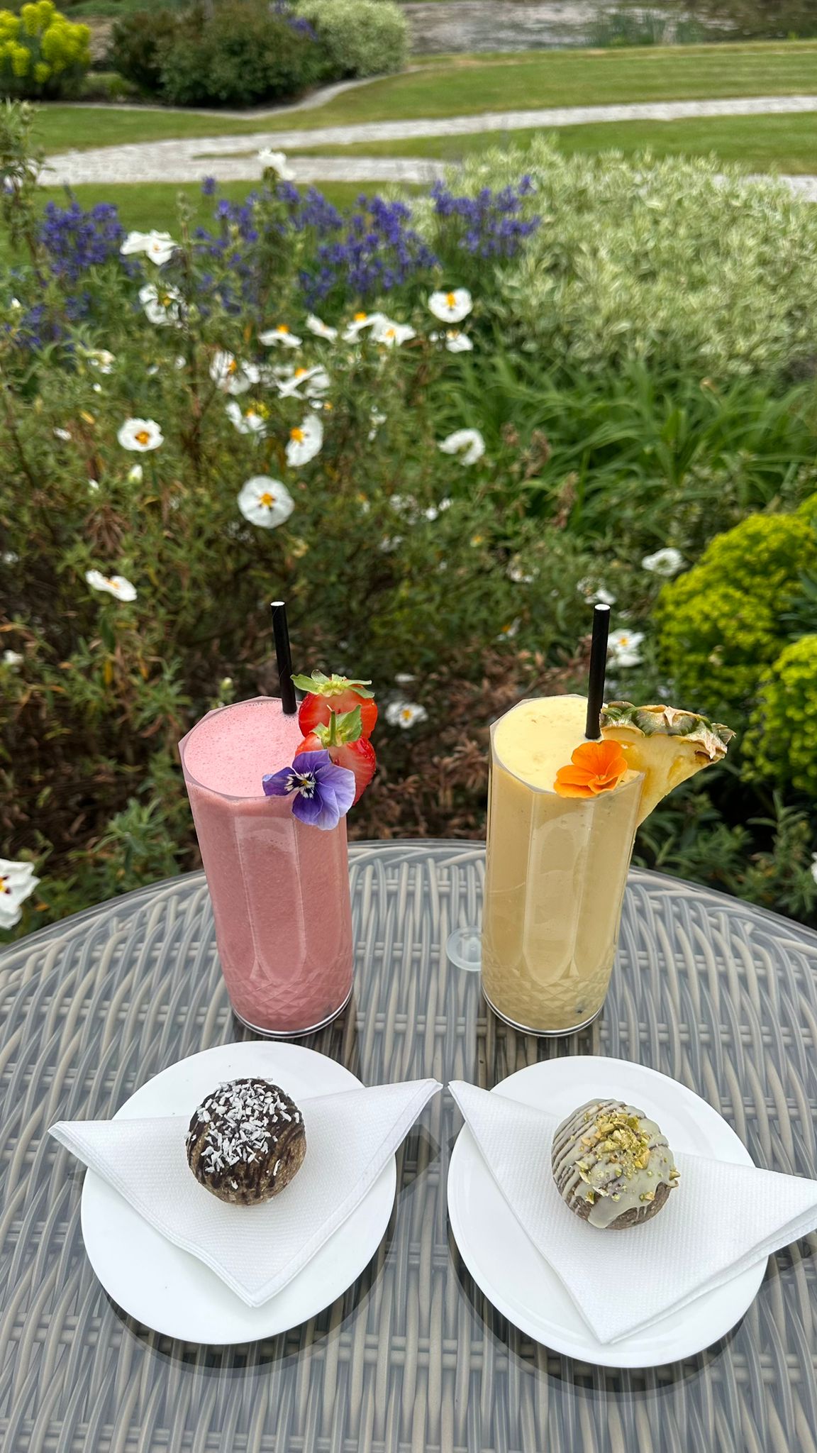 Smoothie & Protein Balls