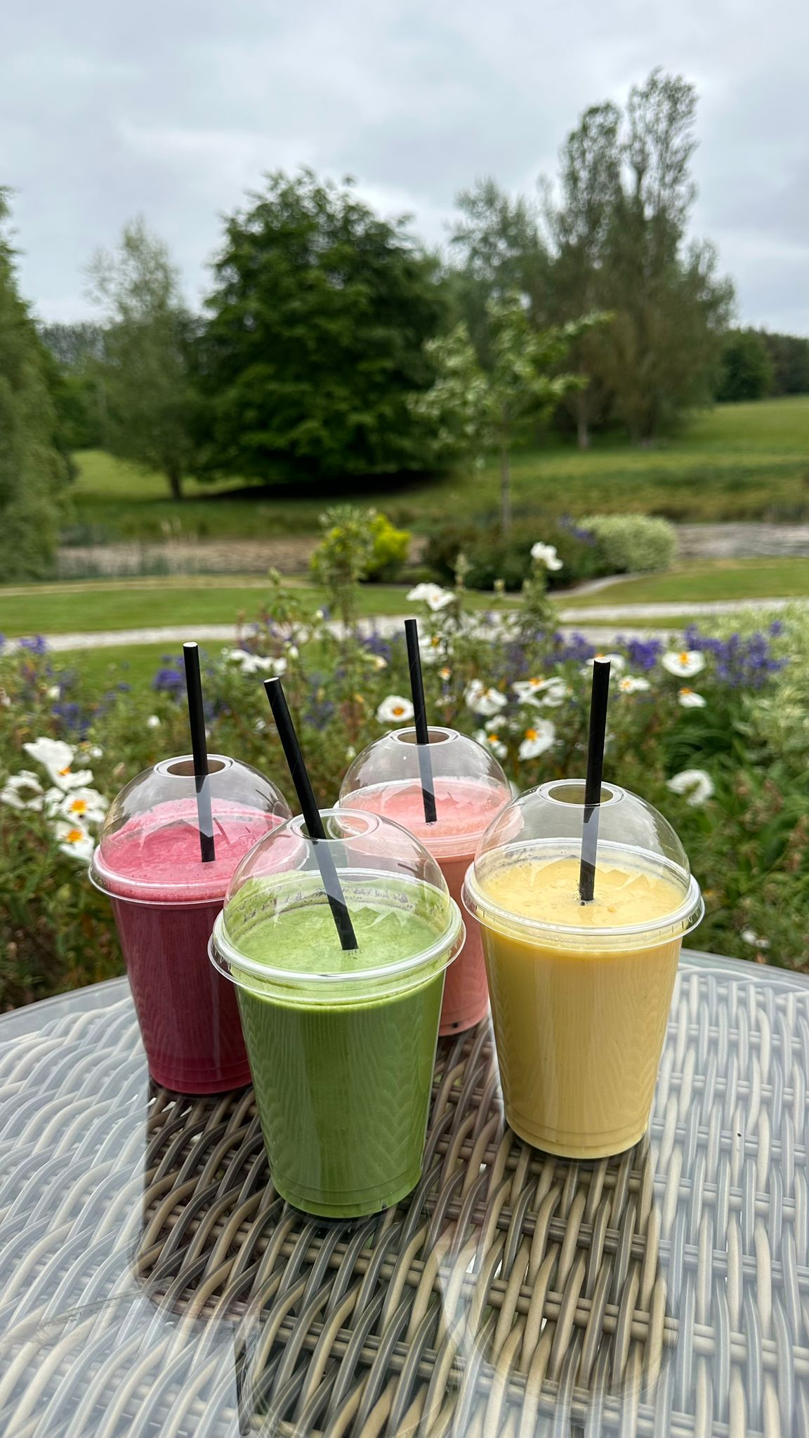 Take Away Smoothies
